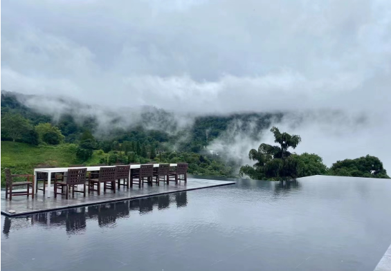 匠庐·南糯山：长在茶林 融于山野5.png