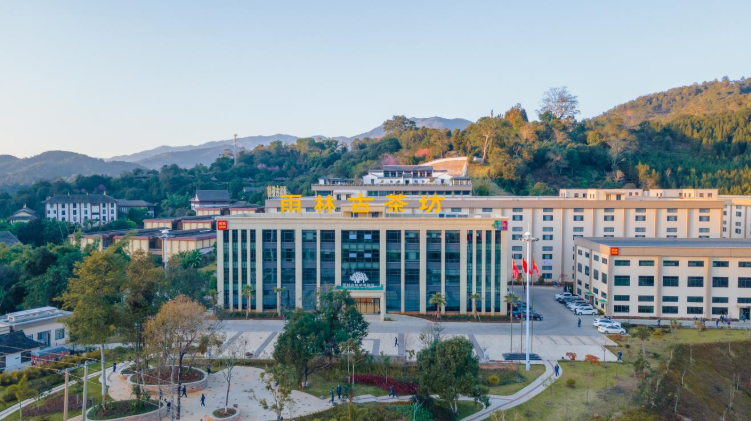 勐海雨林古茶坊：十年深山路 发展守初心1.png