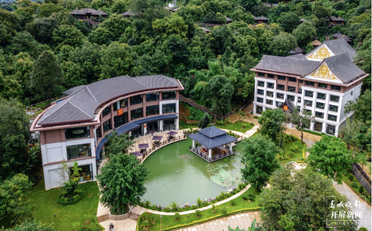 勐海雨林古茶坊：十年深山路 发展守初心5.png