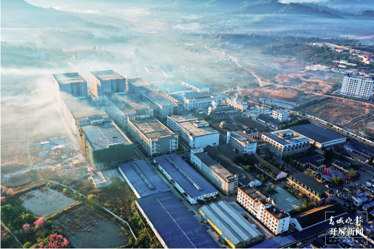 大益勐海茶厂：开拓创新 敢为人先 奋力跑出高质量发展加速度1.png