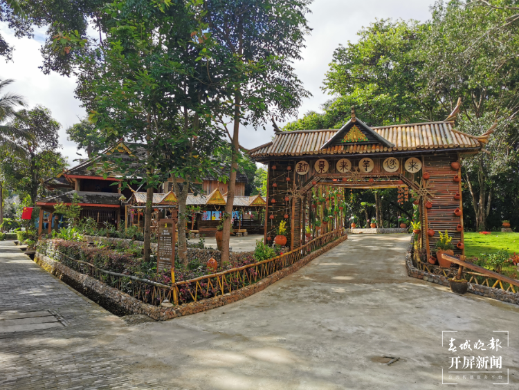 勐景来：“农康体旅”融合再发力 释放乡村振兴新动能3.png