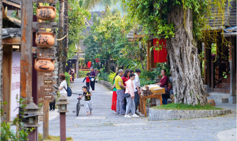 勐景来：“农康体旅”融合再发力 释放乡村振兴新动能2.png