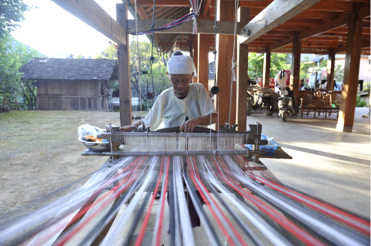勐景来：“农康体旅”融合再发力 释放乡村振兴新动能4.png