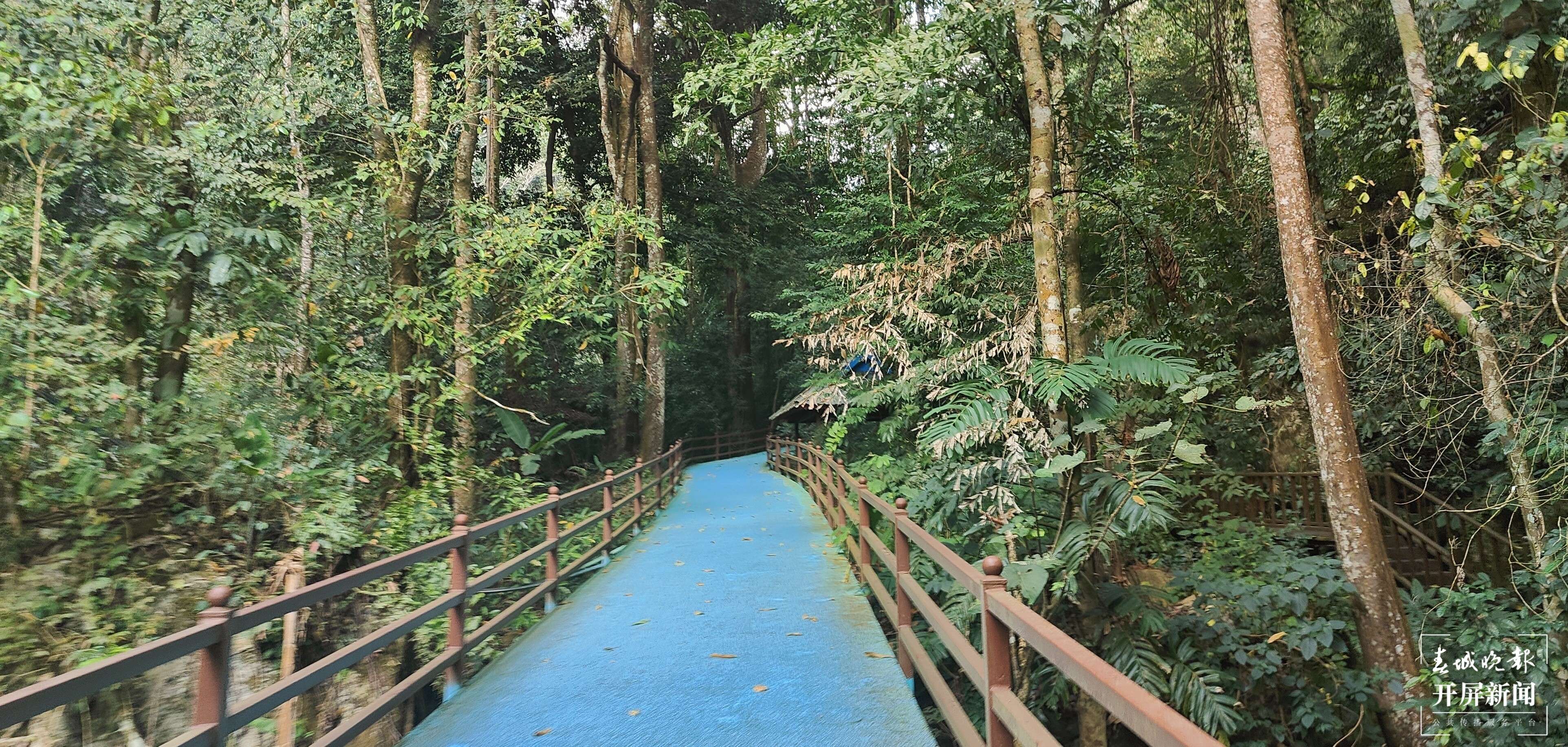 高质量发展看西双版纳丨勐远仙境：保持“地球本来的样子”打造世界一流康养小镇