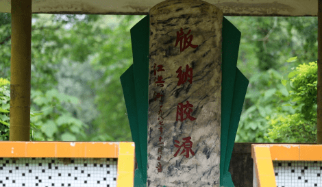 高质量发展看西双版纳 | 版纳州:“由原料向材料升级”确保橡胶产业获得高质量发展