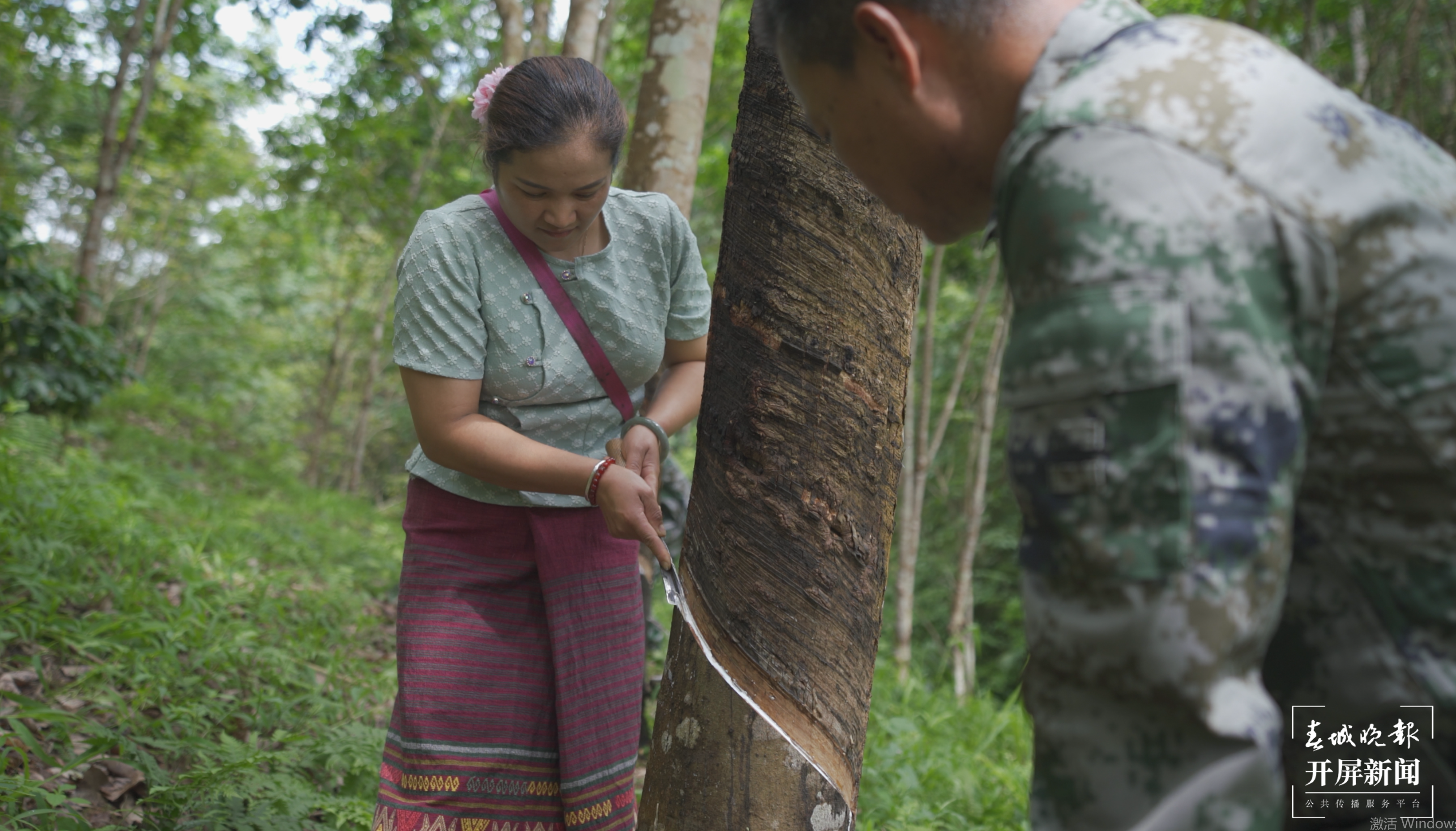高质量发展看西双版纳 | 版纳州:“由原料向材料升级”确保橡胶产业获得高质量发展