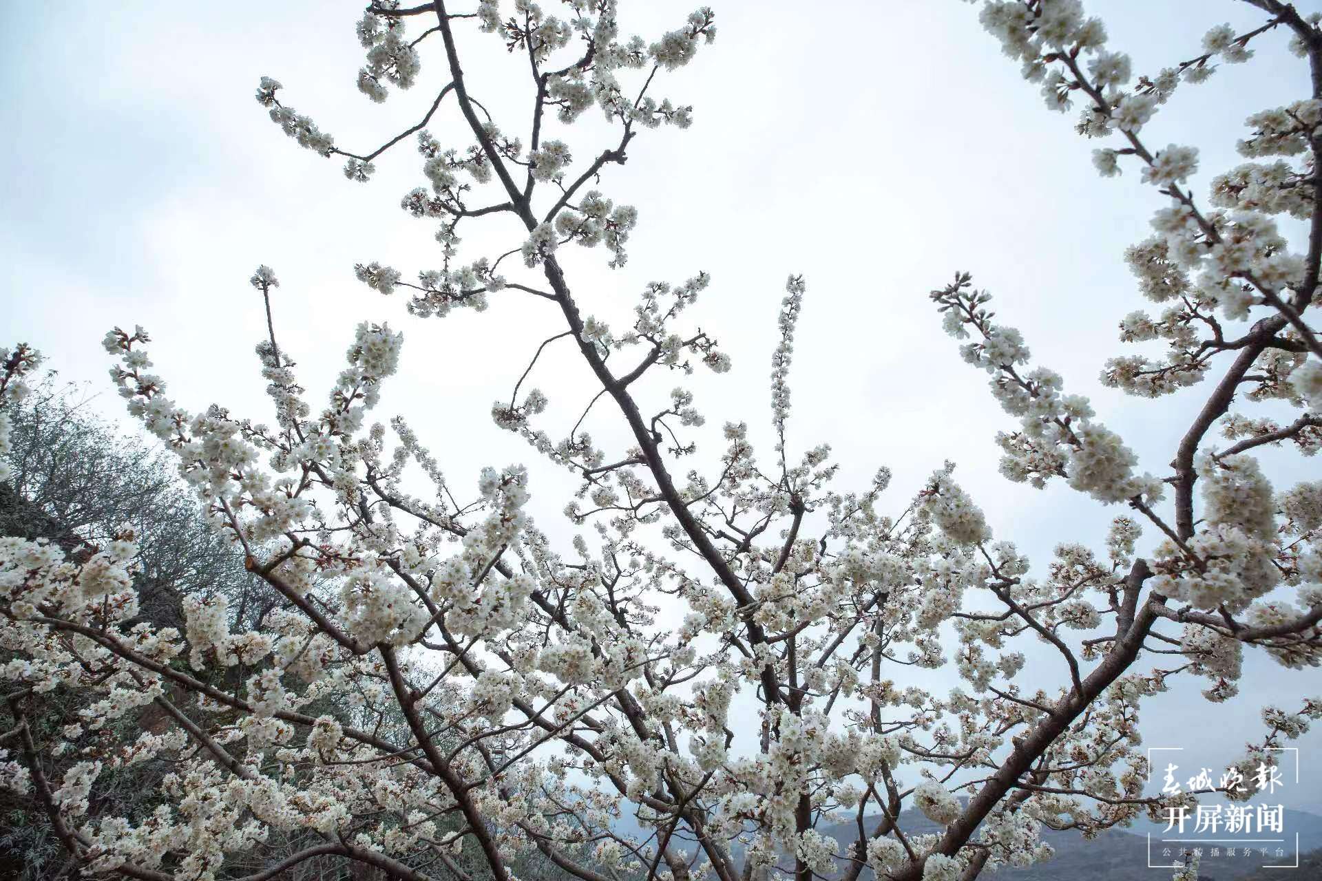 （整合）太空视角的云南花开