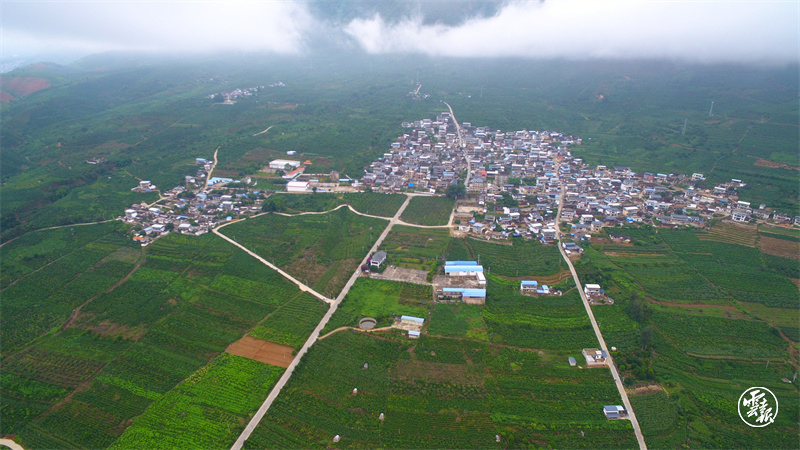 微信图片_202203030853124.jpg 微信图片_202203030853124.jpg