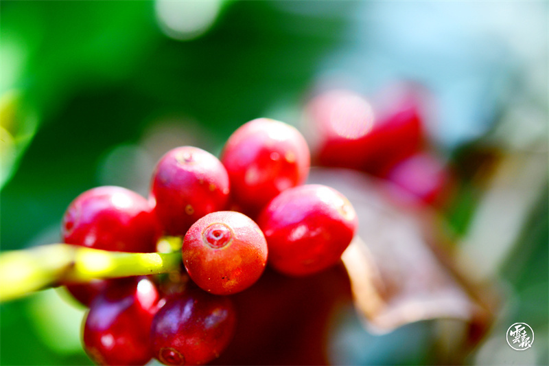 微信图片_20220729160210.jpg 微信图片_20220729160210.jpg