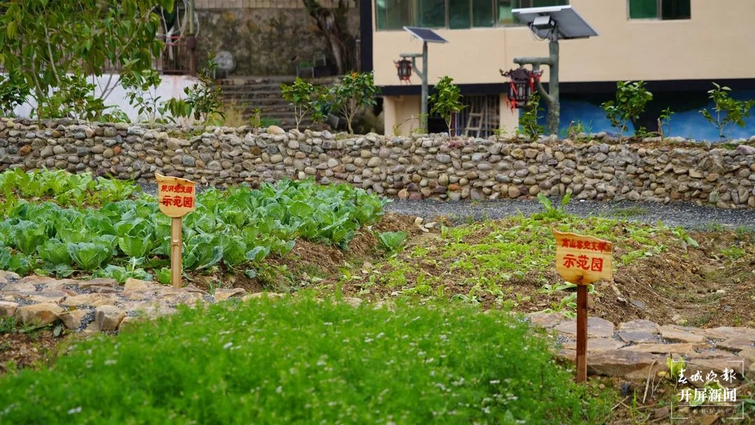 绿春春常绿 | 绿春阿迪村：文化赋能乡村振兴 传统文化绚丽绽放