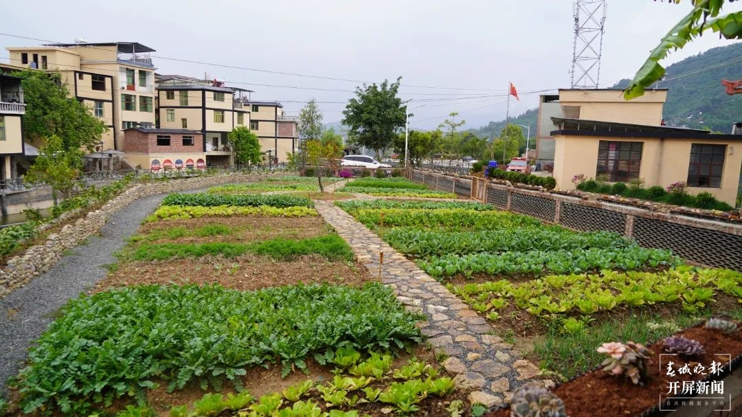 绿春春常绿 | 绿春阿迪村：文化赋能乡村振兴 传统文化绚丽绽放