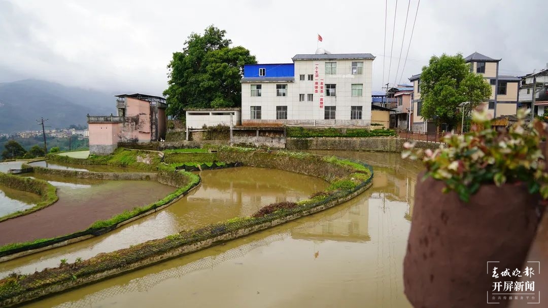 绿春春常绿 | 绿春阿迪村：文化赋能乡村振兴 传统文化绚丽绽放