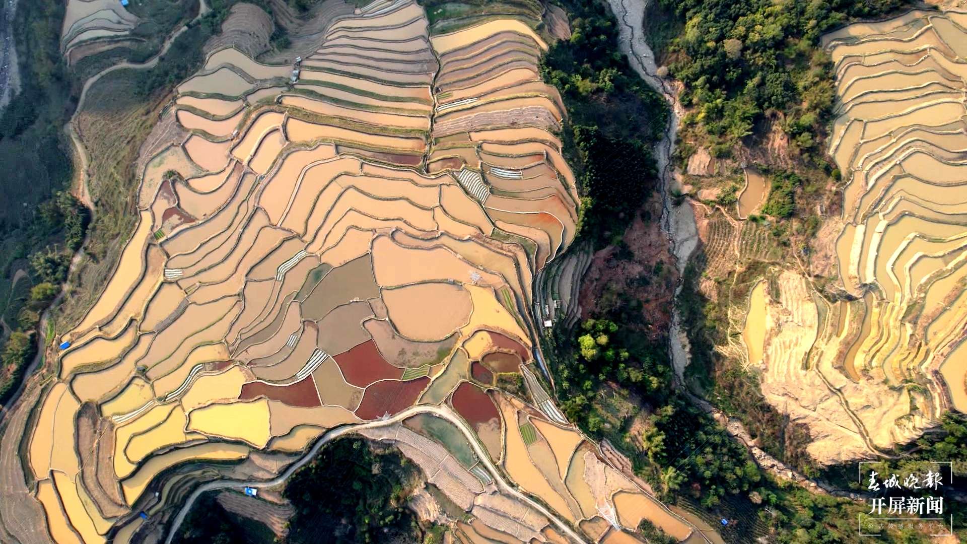 绿春春常绿 | 多措并举保护利用哈尼梯田