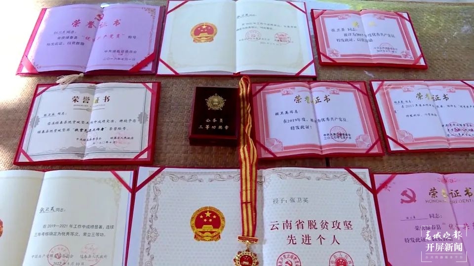 绿春春常绿|张卫英：用心用情办实事 扎根基层绽芳华