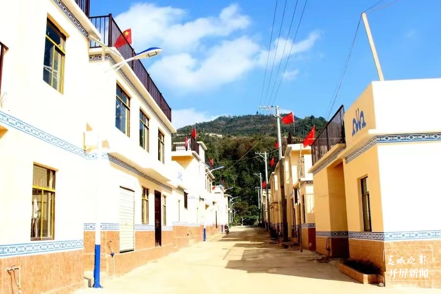 绿春春常绿|团山村:打造野生果蔬驯化种植特色村