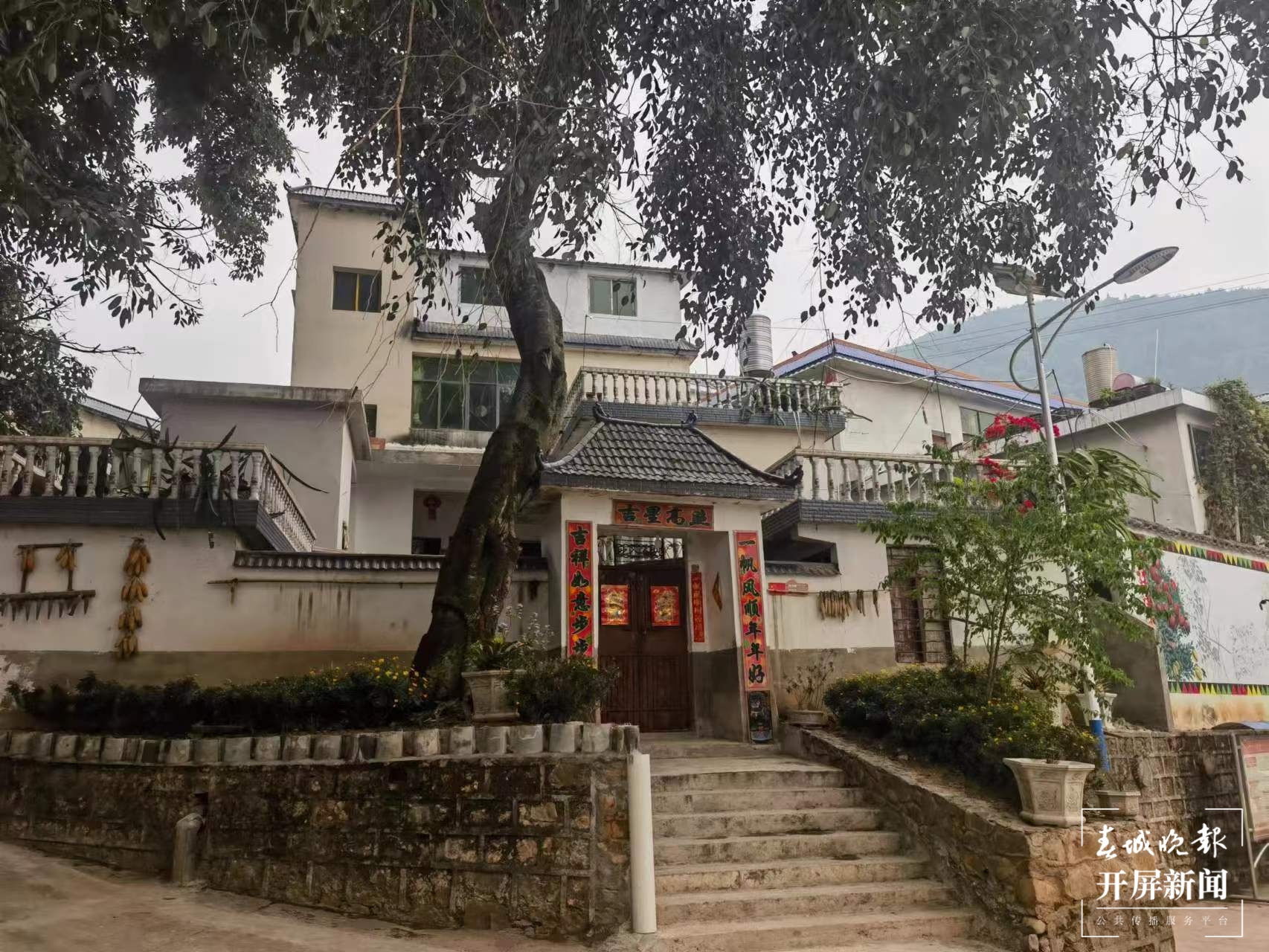 绿春春常绿|期杯村：党建引领 提升内生动力育新风