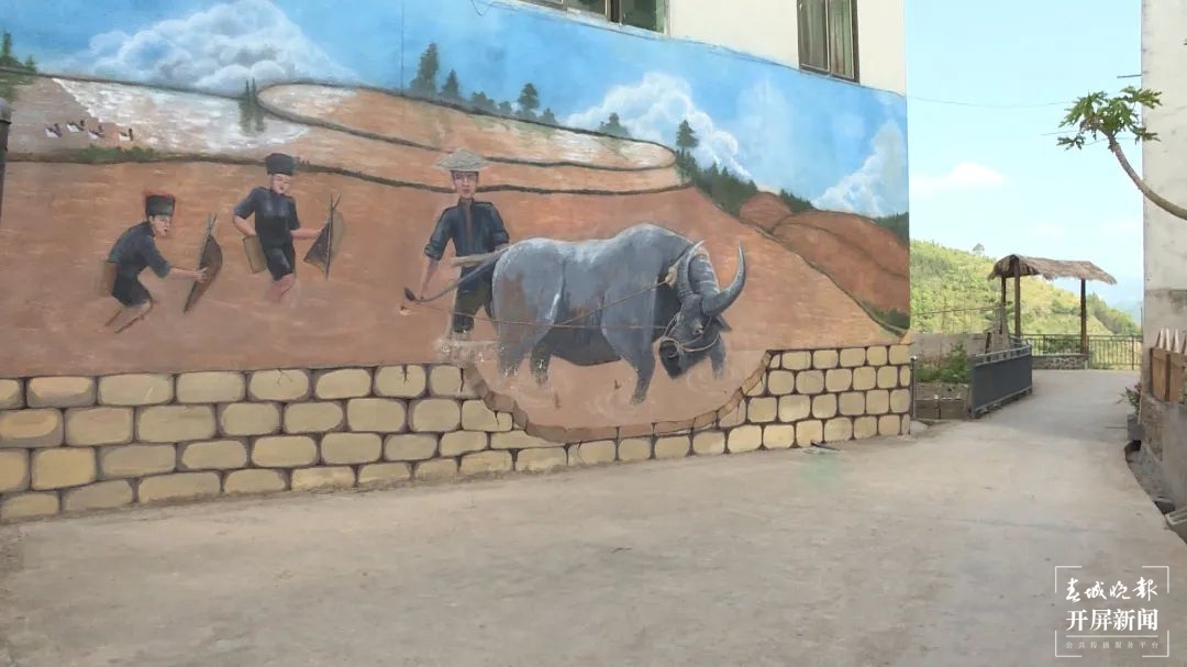 绿春春常绿|期杯村：党建引领 提升内生动力育新风