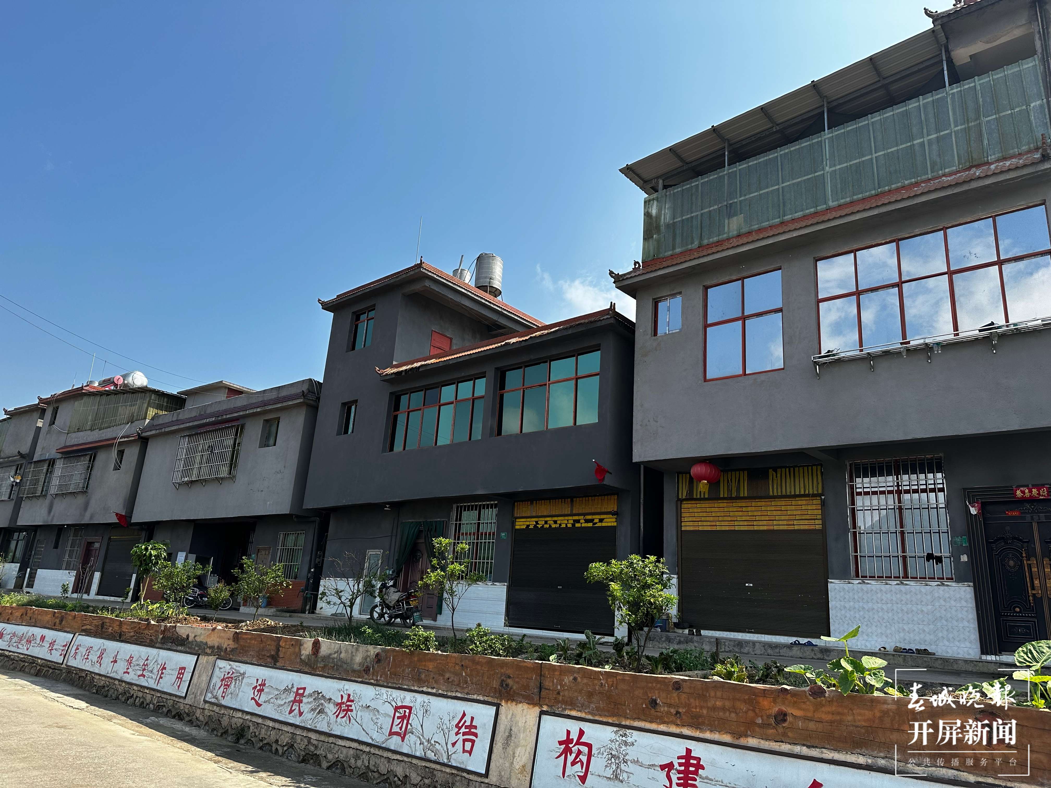 绿春春常绿 | 马鹿塘新村：茶产业带来新气象