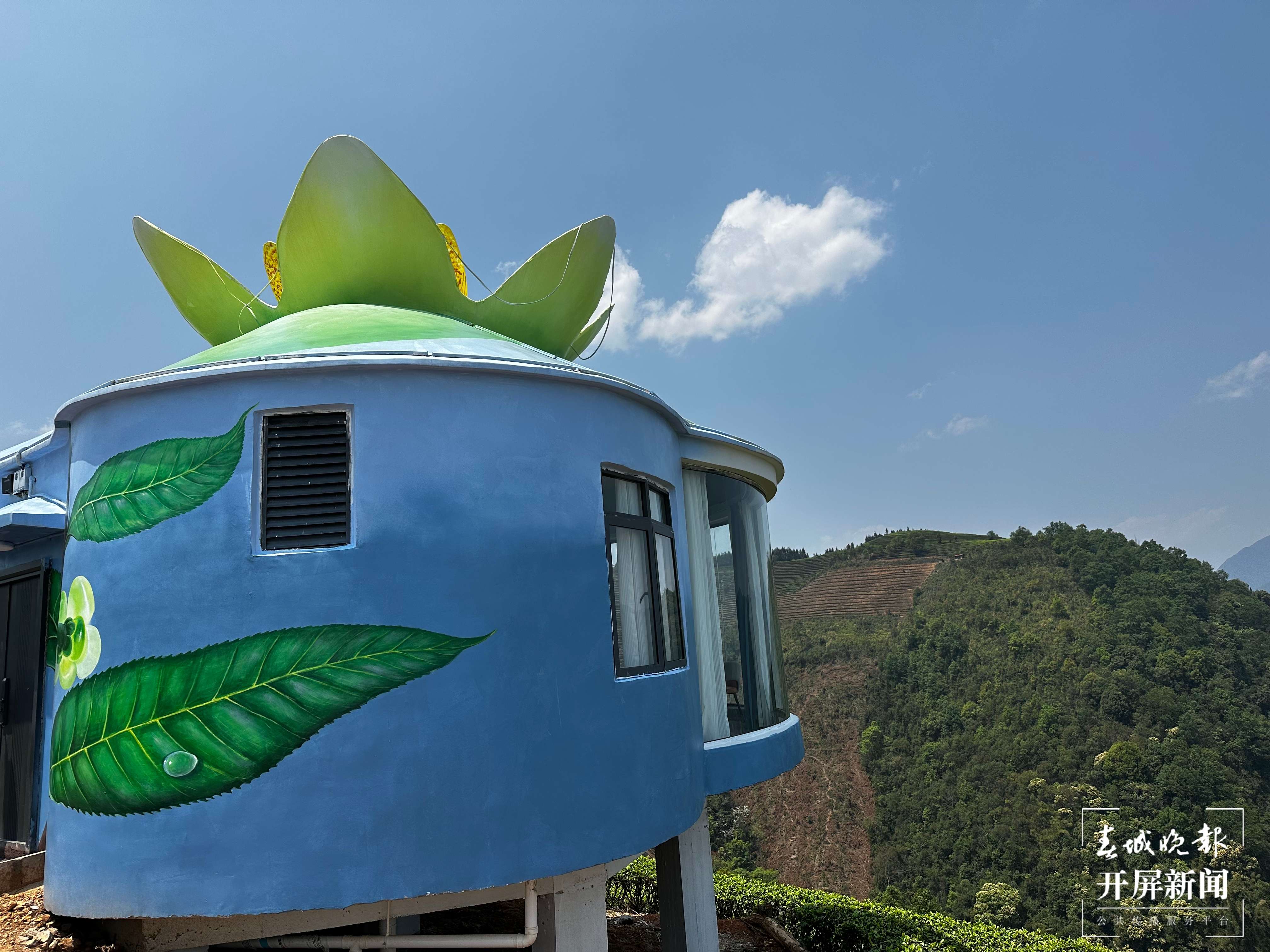 绿春春常绿 | 马鹿塘新村：茶产业带来新气象