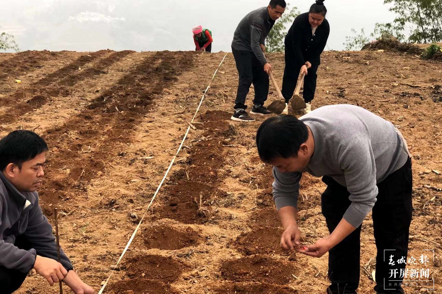 绿春春常绿 | “四举措”全力护航春耕备耕