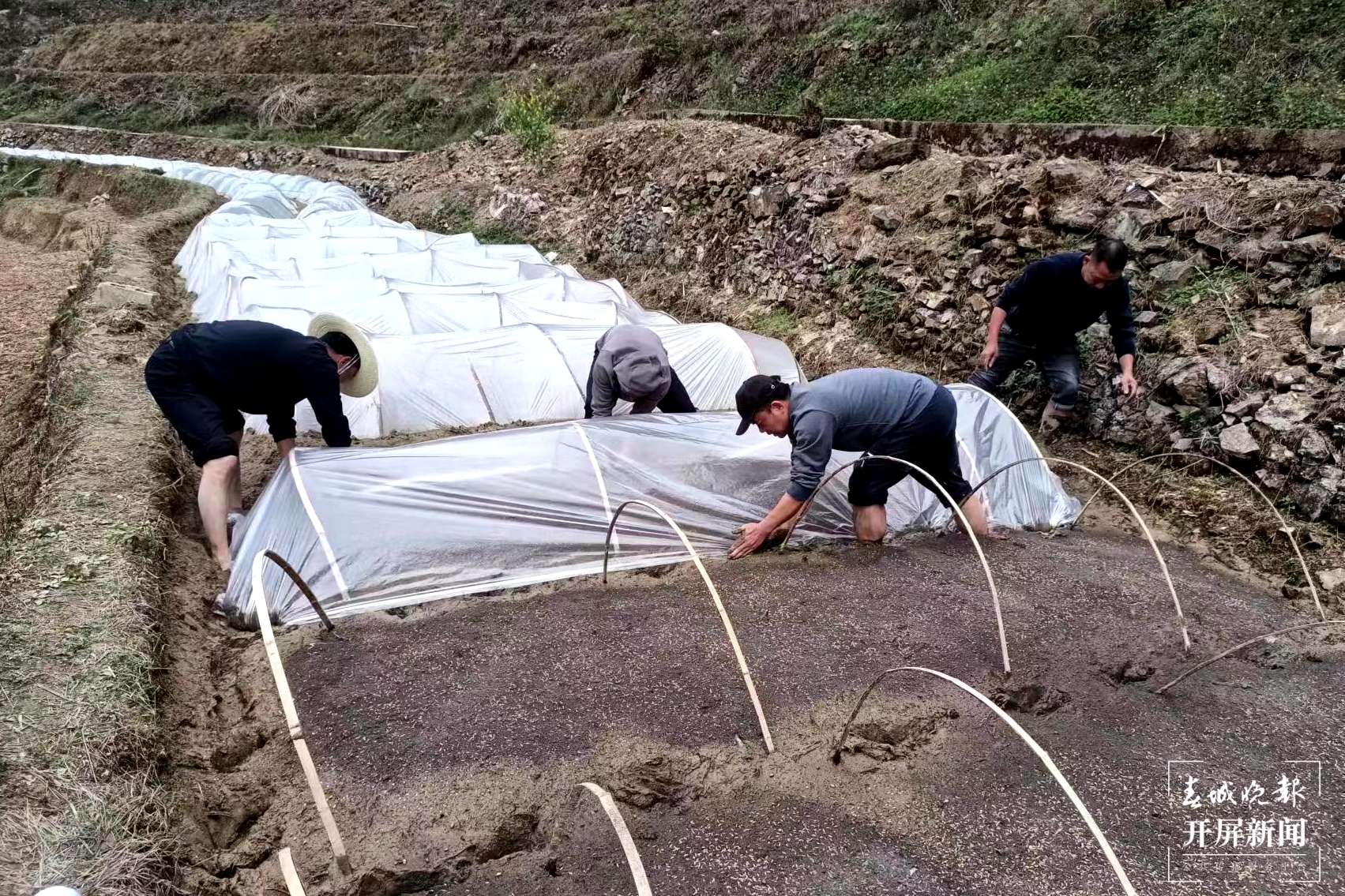 绿春春常绿 | “四举措”全力护航春耕备耕