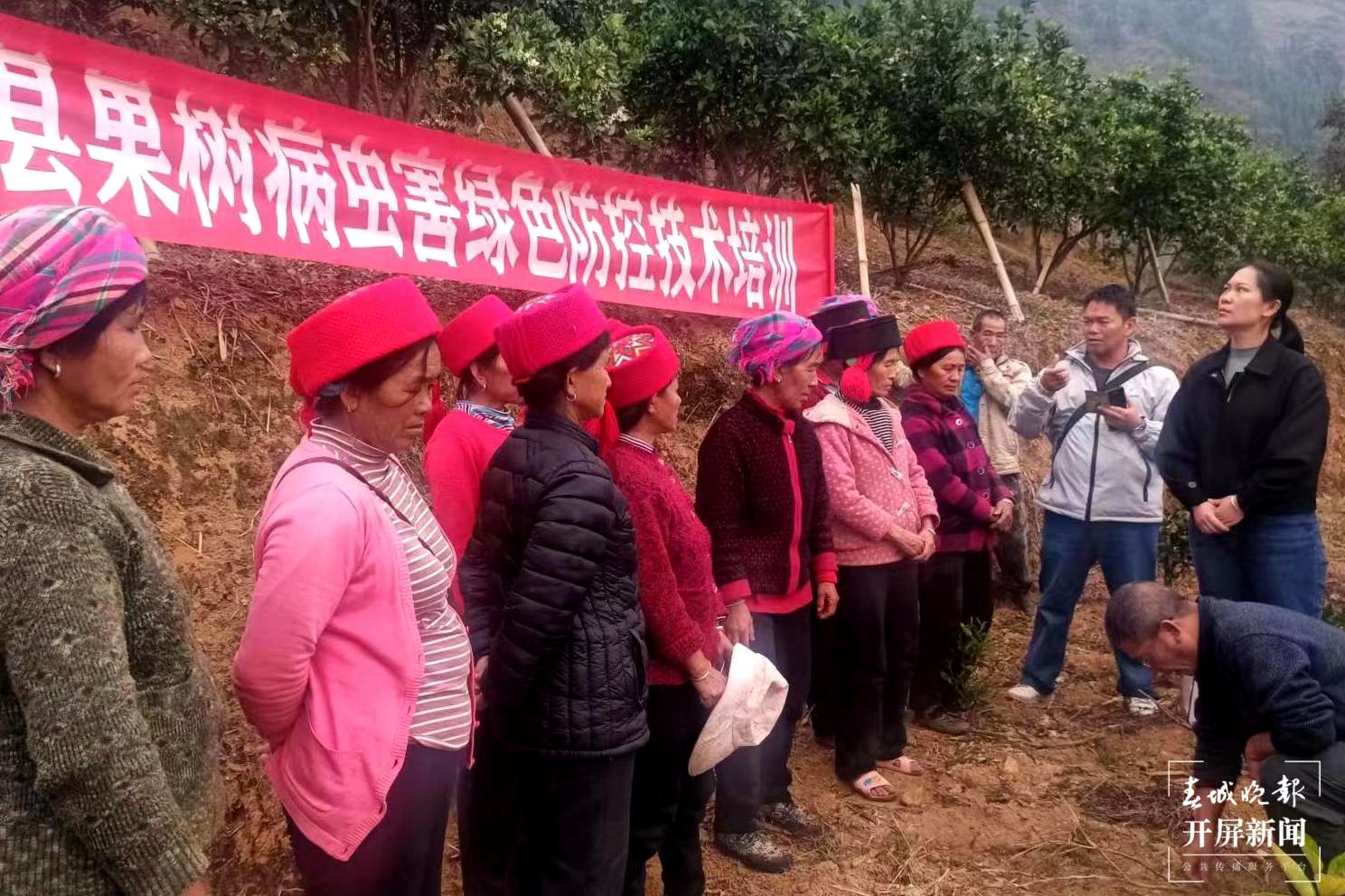 绿春春常绿 | “四举措”全力护航春耕备耕