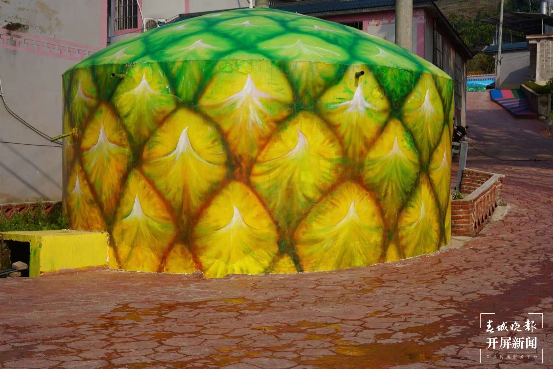 绿春春常绿 | 干龙潭村：建设热带水果甜蜜家园