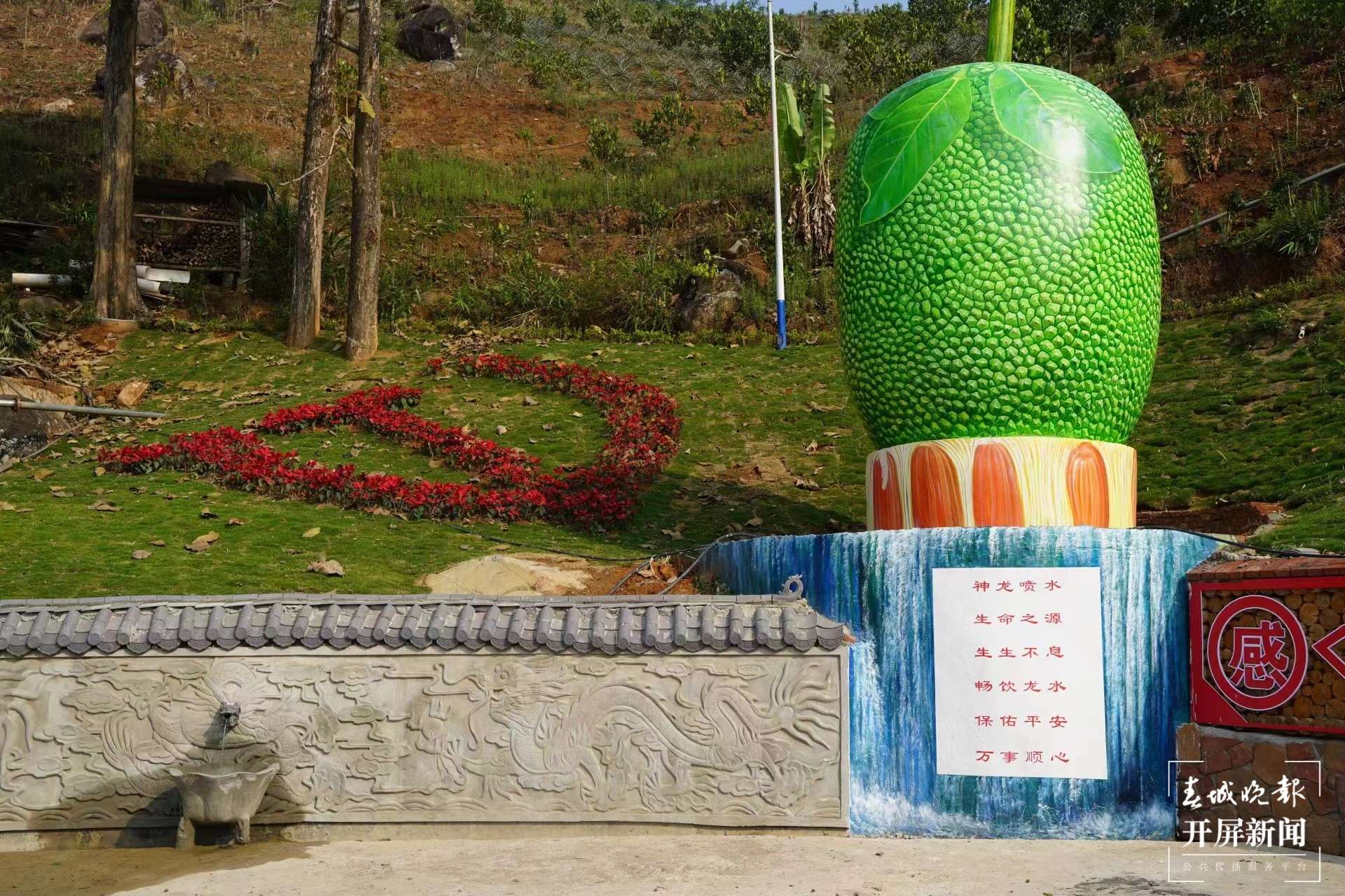 绿春春常绿 | 干龙潭村：建设热带水果甜蜜家园