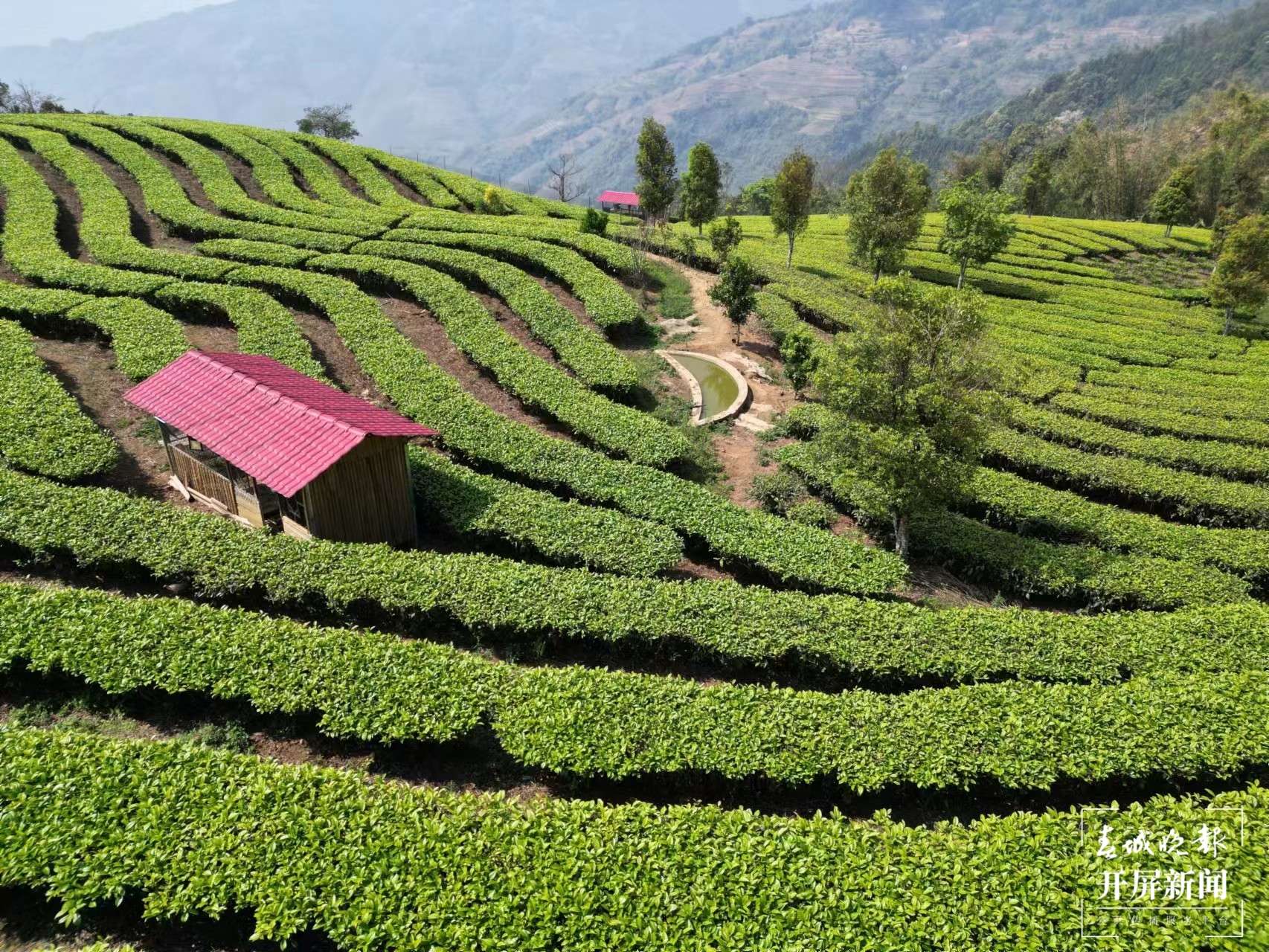 绿春春常绿 | 大黑山镇：打造区域性商贸中心