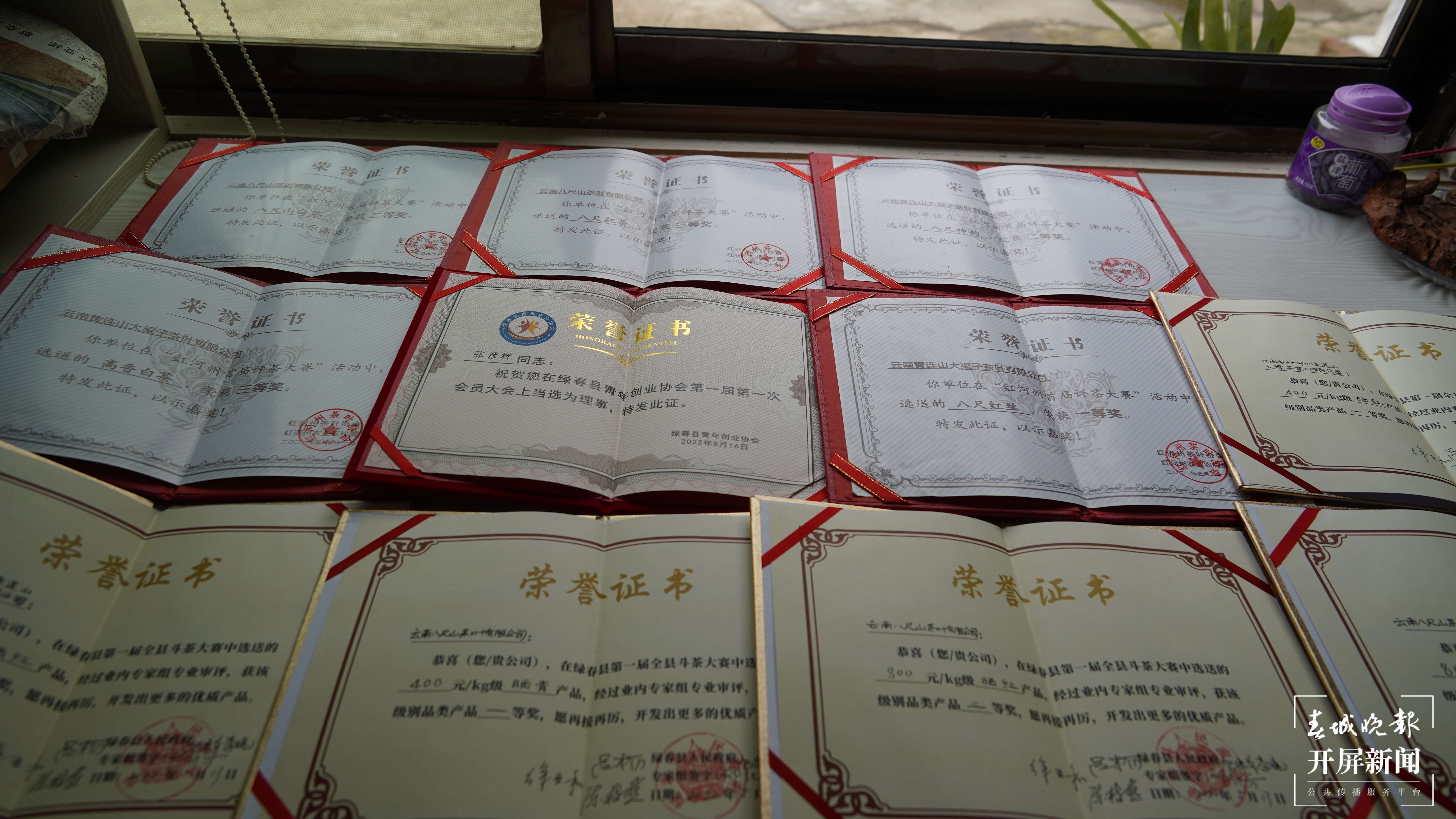 张彦辉：三剂“猛药”，为茶产业兴旺发达建言献策