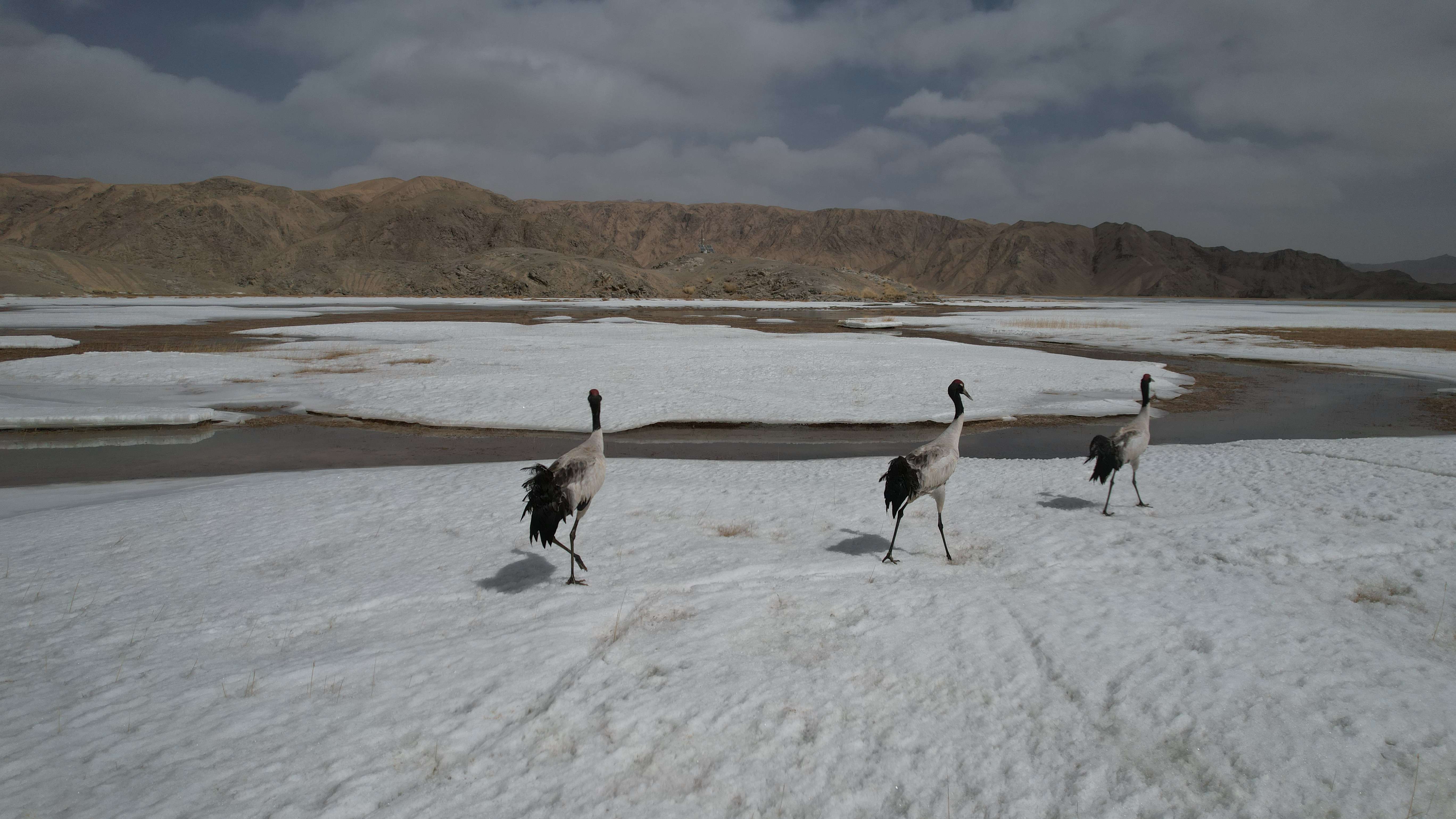 1(分离图)甘肃盐池湾湿地 图片由萌根朝(21502517)-20230417113510.jpg