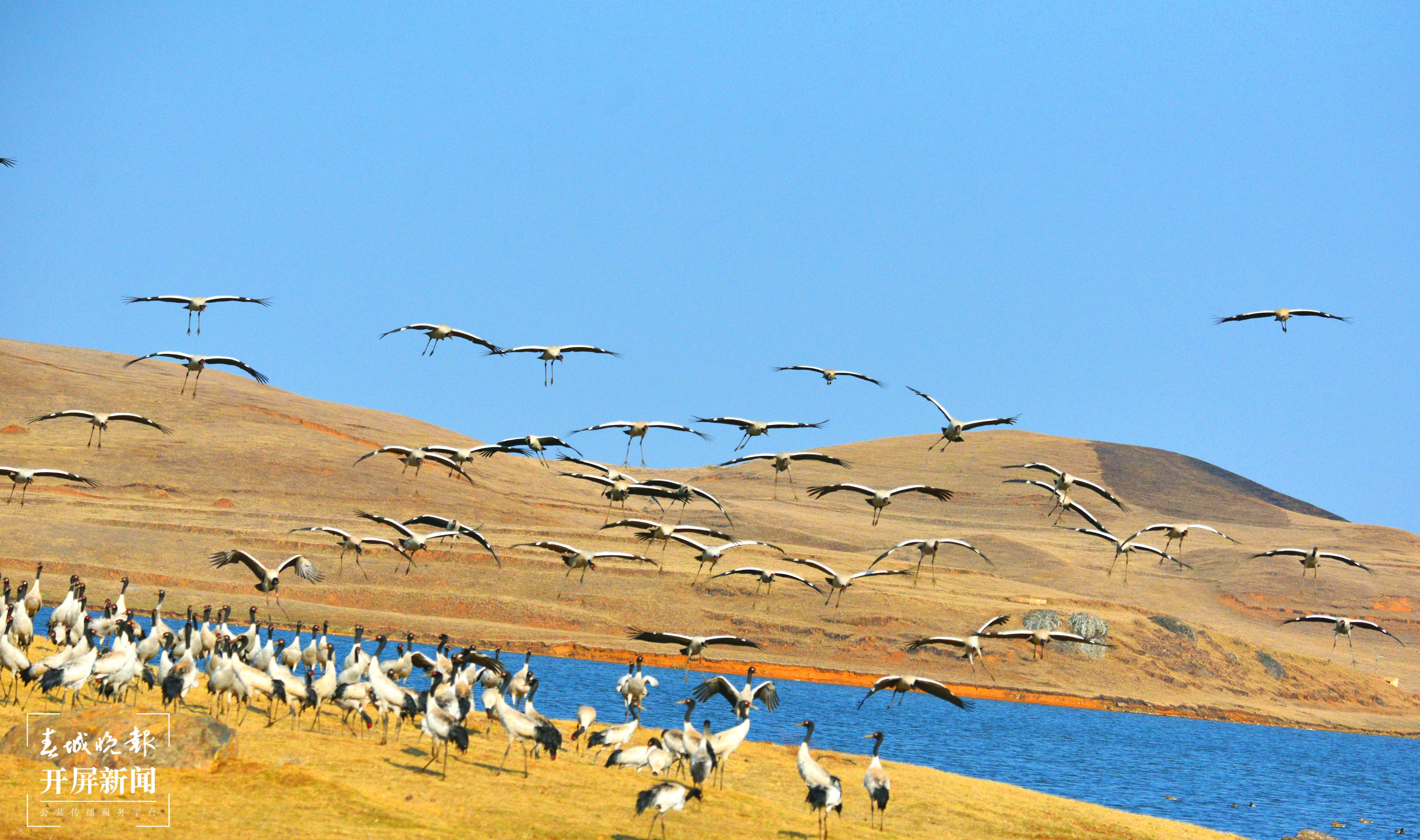 10-吴太平 摄.jpg