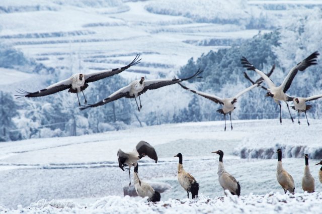 会泽，念湖 (4).jpg