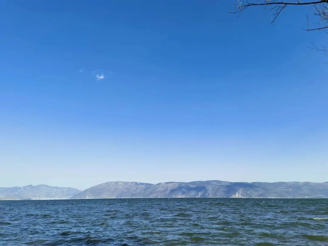 云迹青年｜去大理做一个不再小众的普通人