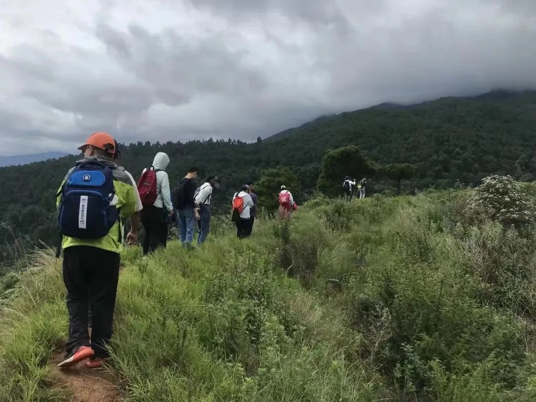 云迹青年｜去大理做一个不再小众的普通人