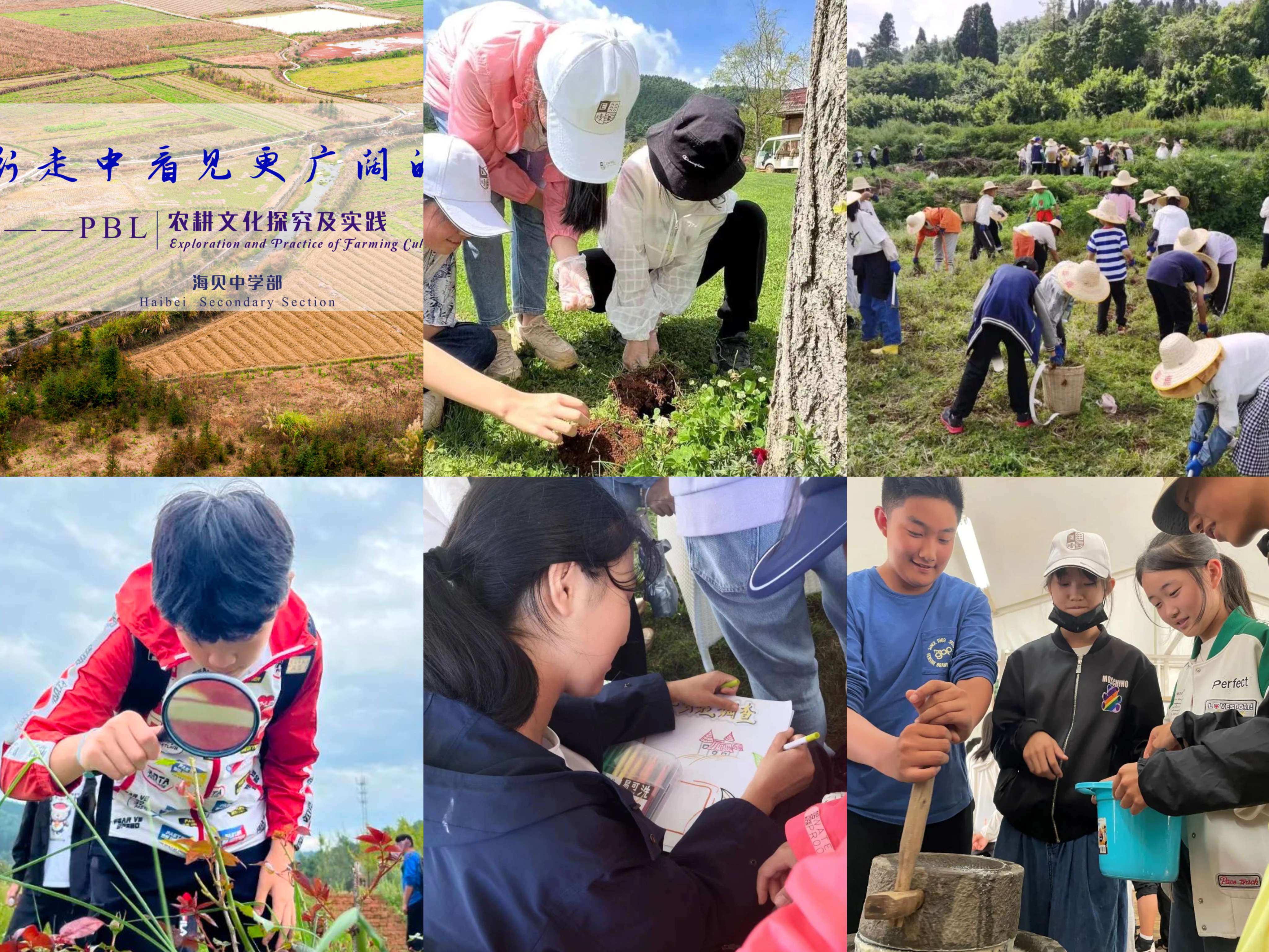 海贝中英文学校