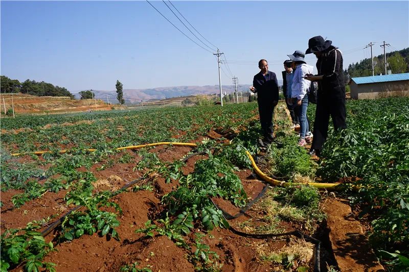 云迹青年|用30年书写马铃薯“论文”的“大学生”