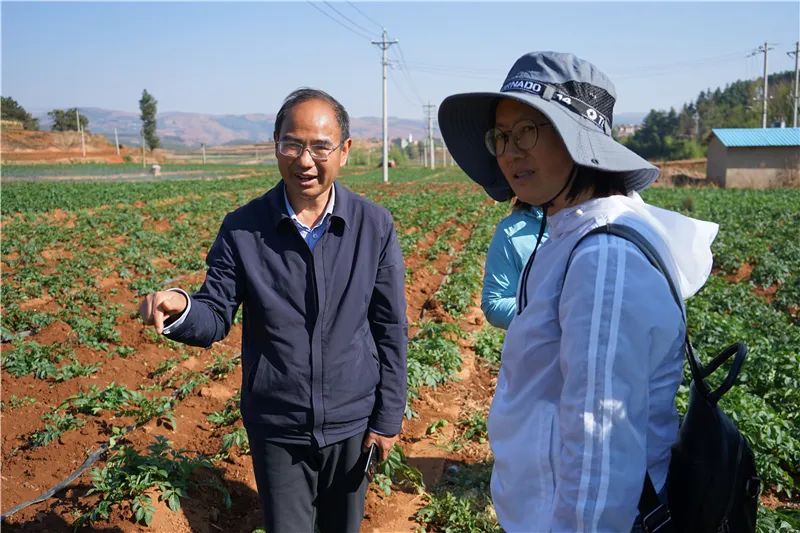 云迹青年|用30年书写马铃薯“论文”的“大学生”