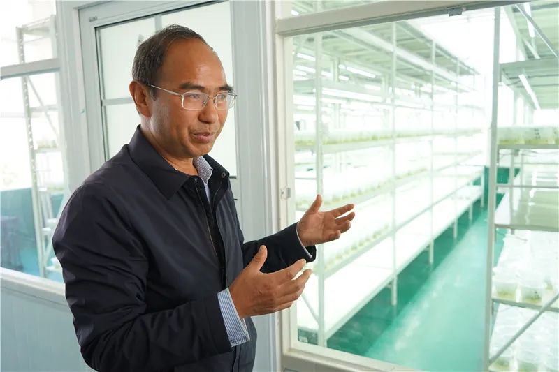 云迹青年|用30年书写马铃薯“论文”的“大学生”