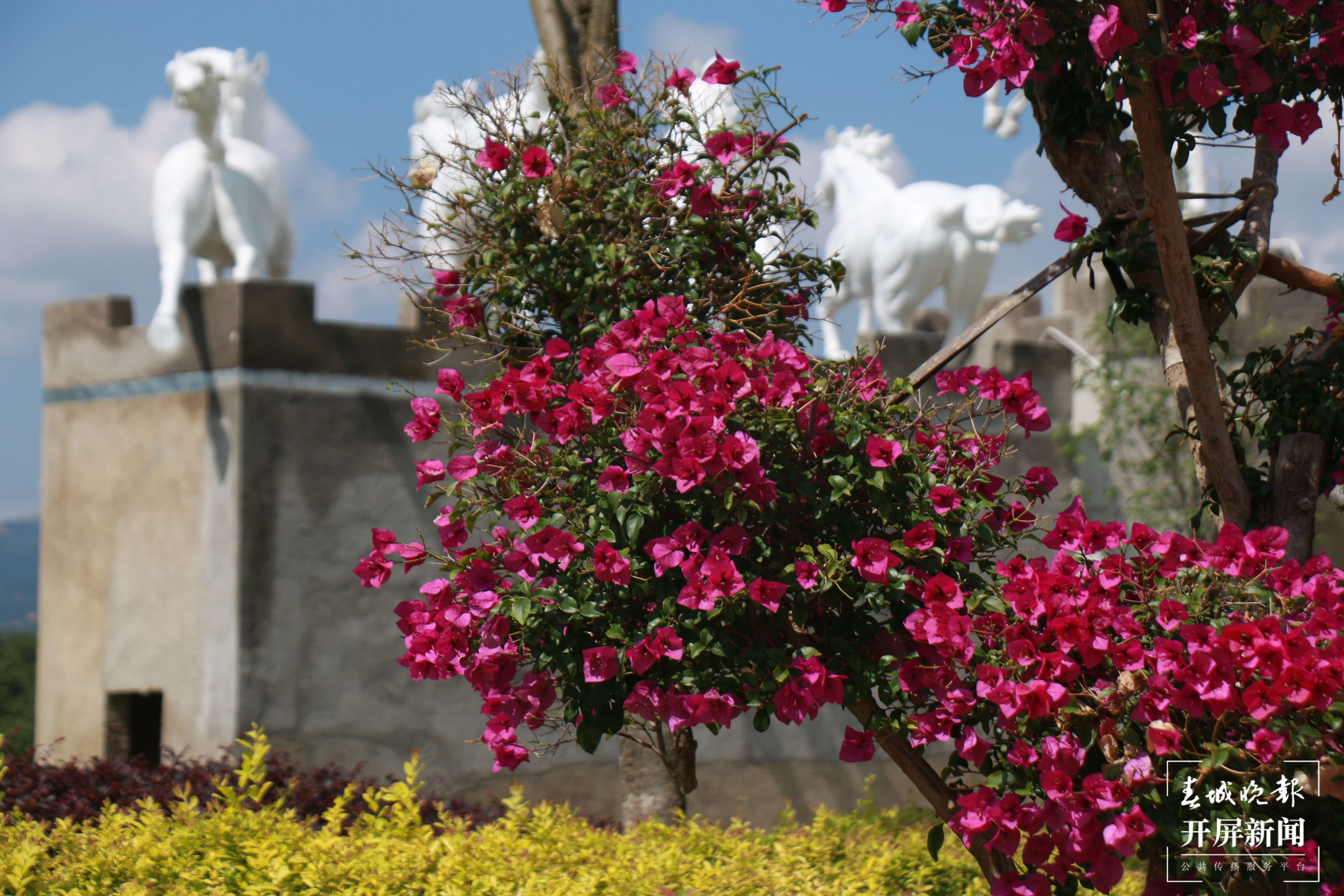 骏马雄关公园：扮靓马关门户的靓丽风景2.jpg