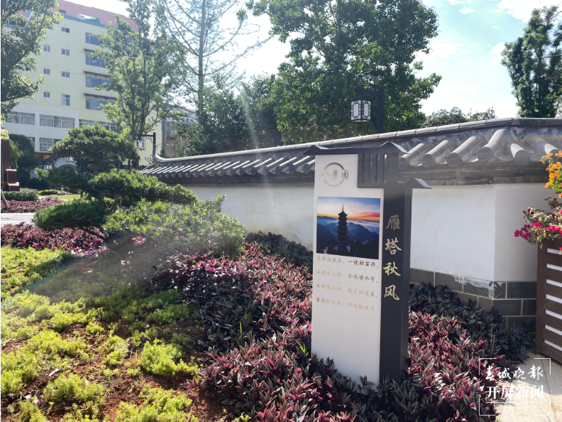 城市边角料“变废为宝” 街头游园邂逅美丽景致3.png