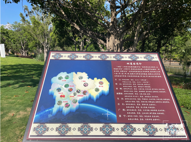 一河绿水绕文山 两岸又闻“花鸟香”3.png