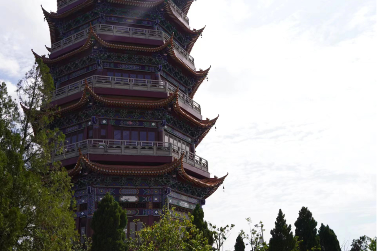 添绿增绿 打造文山城市新形象2.png