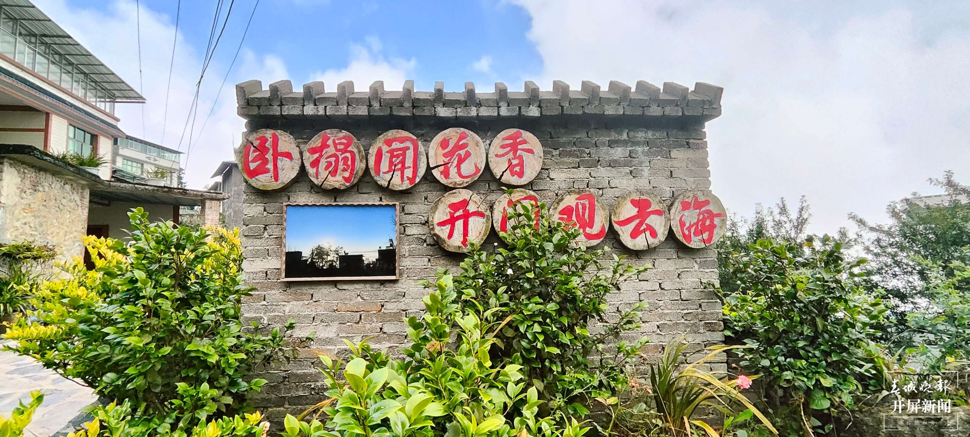 团结兴边看文山 | “卧榻闻花香”兰花种植美了家园富了群众