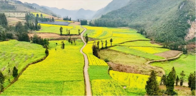 文山平坝古镇 打造文旅融合新路子4.png