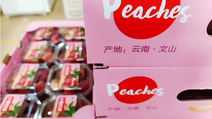 “文山牌”鲜桃：一“果”观“文”4.png