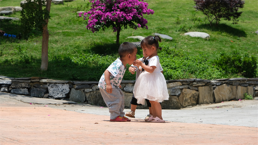 团结兴边看文山｜齐心共建美丽家园 绘就绿美乡村新画卷