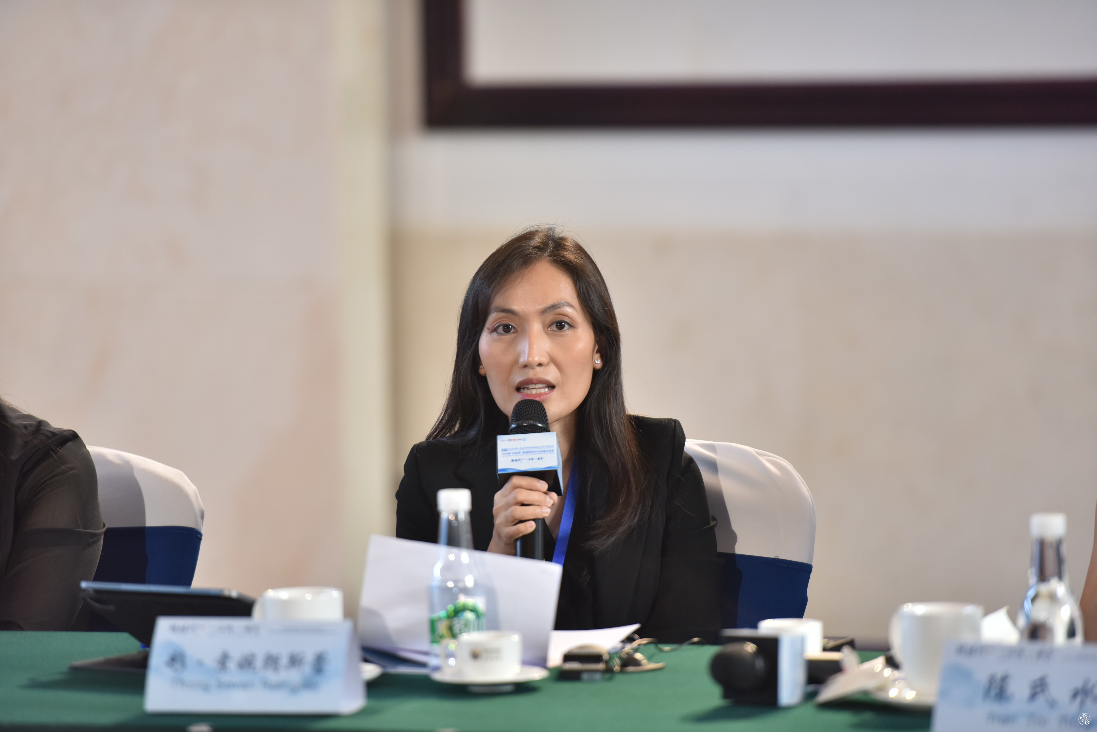 现场图集丨圆桌论坛·澜湄国家媒体的合作路径