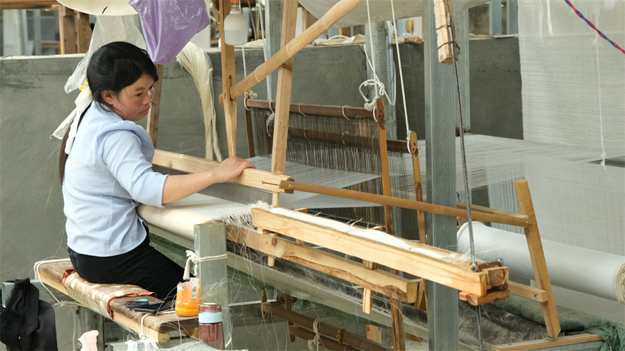 团结兴边看文山｜剑麻墙布新产业 “家门口”致富有盼头