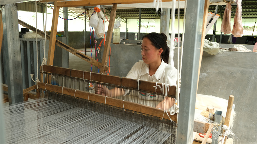 团结兴边看文山｜剑麻墙布新产业 “家门口”致富有盼头